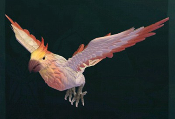 你知道如何制作健康的云斑鹦鸟饲料吗？